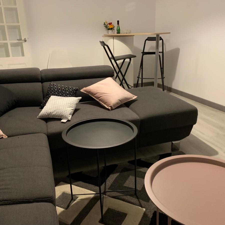 Appartement 4 Personnes Emplacement Ideal Proche Des 24H Et Gare 勒芒 外观 照片